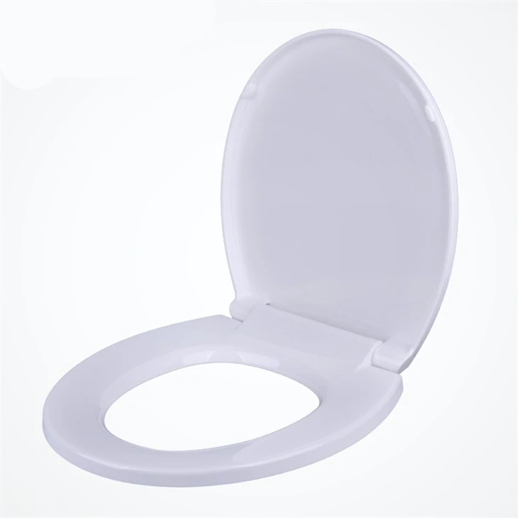 american-style-toilet-seat