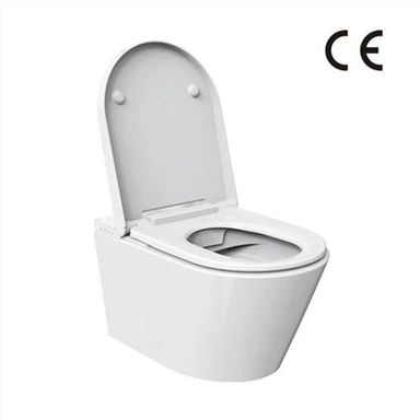 תליית קיר חכם לשירותים