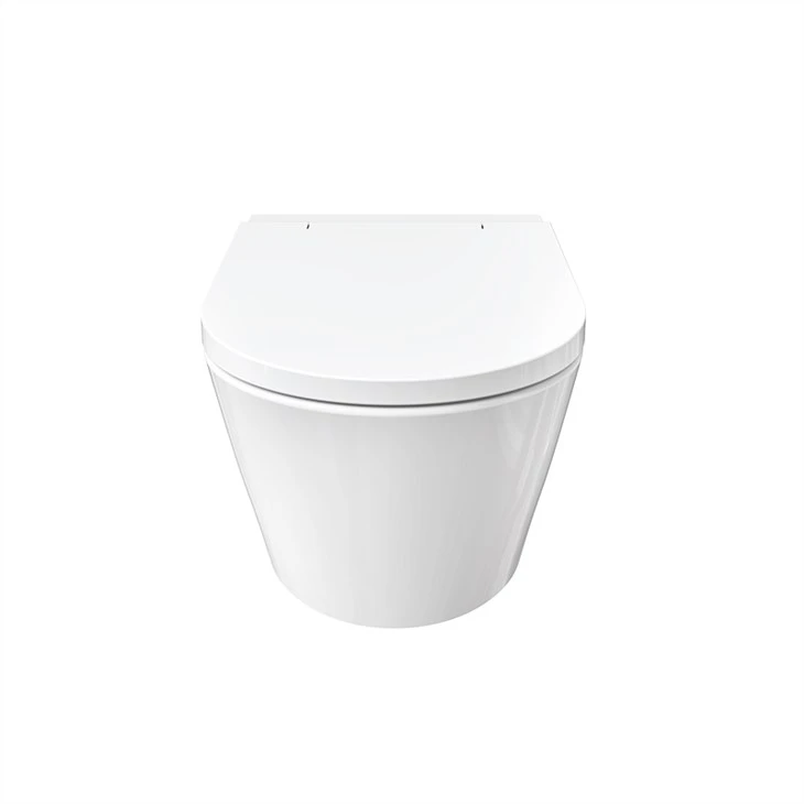 smart toilet with bidet wash function