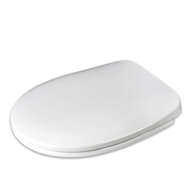 1 fancy-toilet-seat