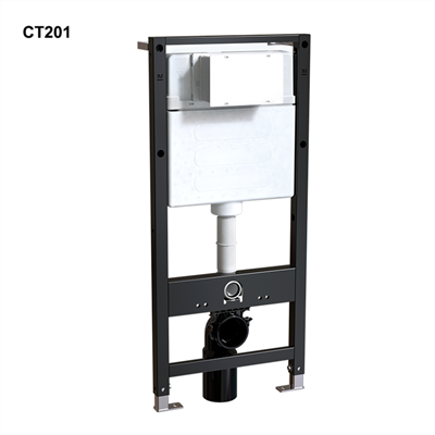 בור שירותים מובנה