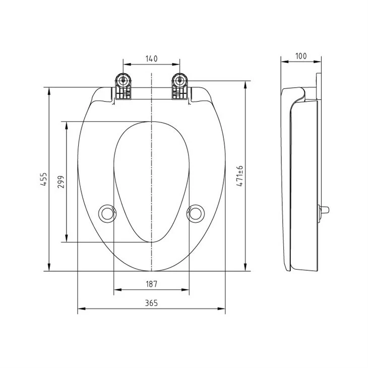 Toilet Seat For Heavy Person best